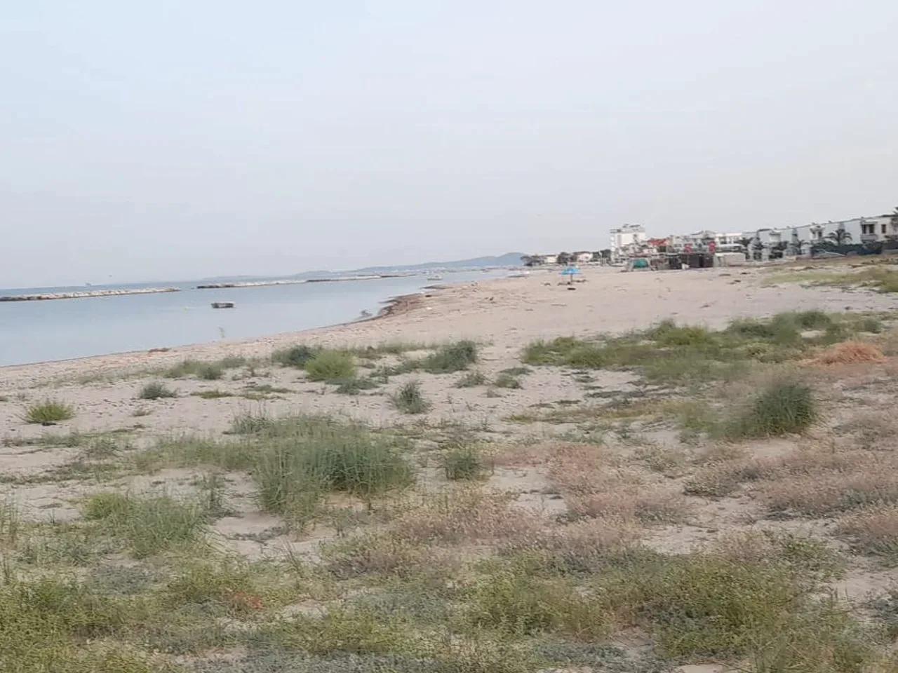 Can Kafe Önü - 2