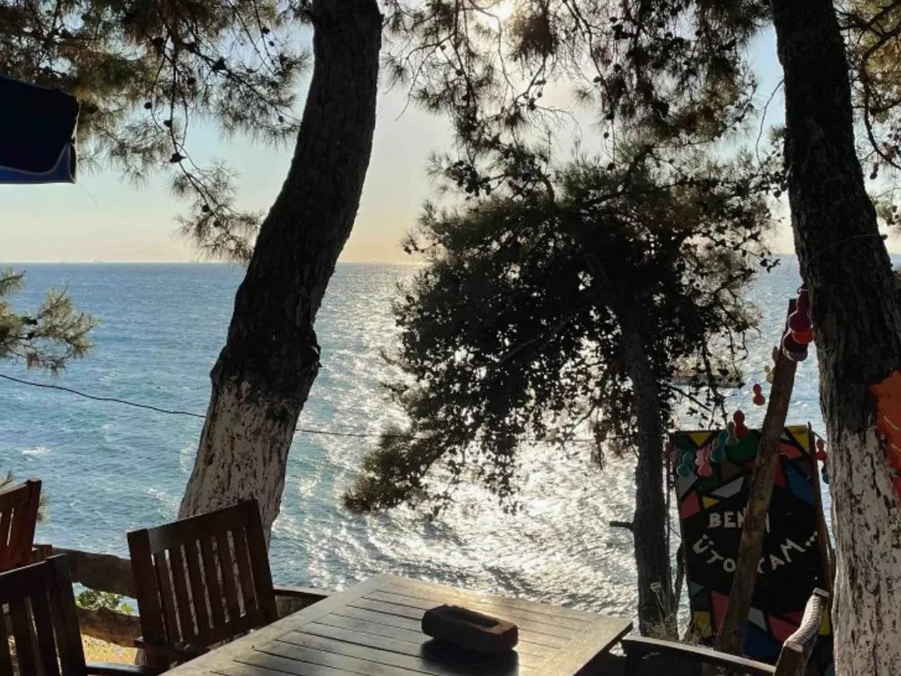 Çanakkale,Dalyan köyü yolu üzeri - 1
