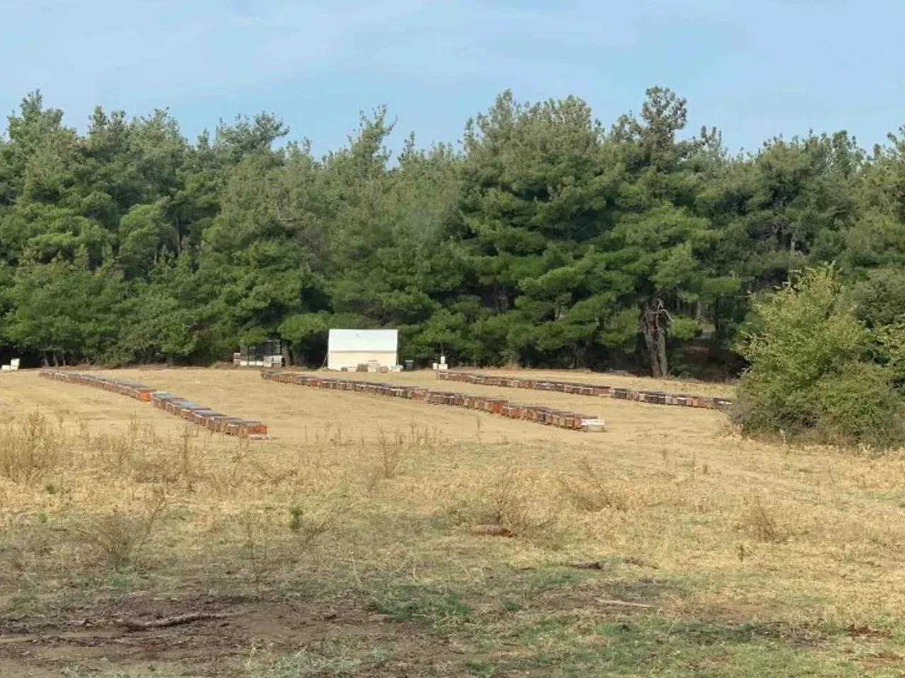 Çanakkale,Top Zeytinlik Yolu Sokak - 2