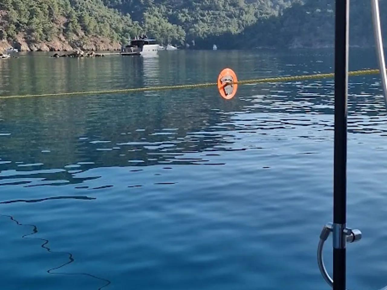 Canes Sahili - 3