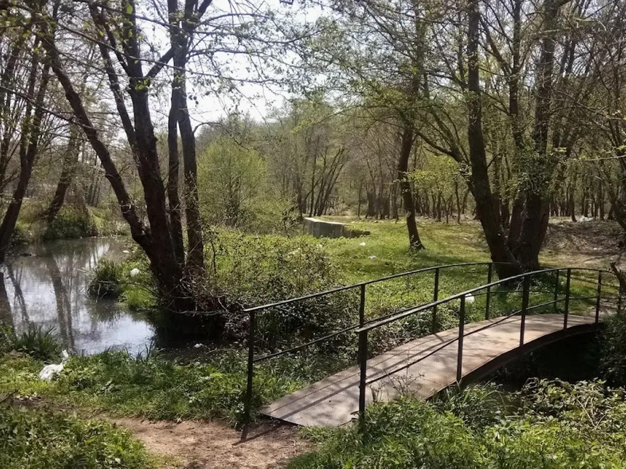 Çatalçam Tabiat Anıtı