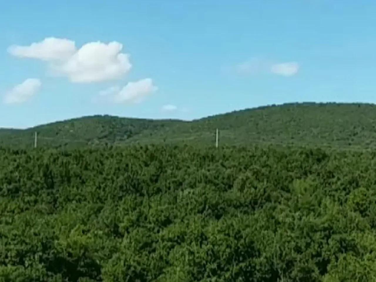 Çatalçam Tabiat Anıtı - 2