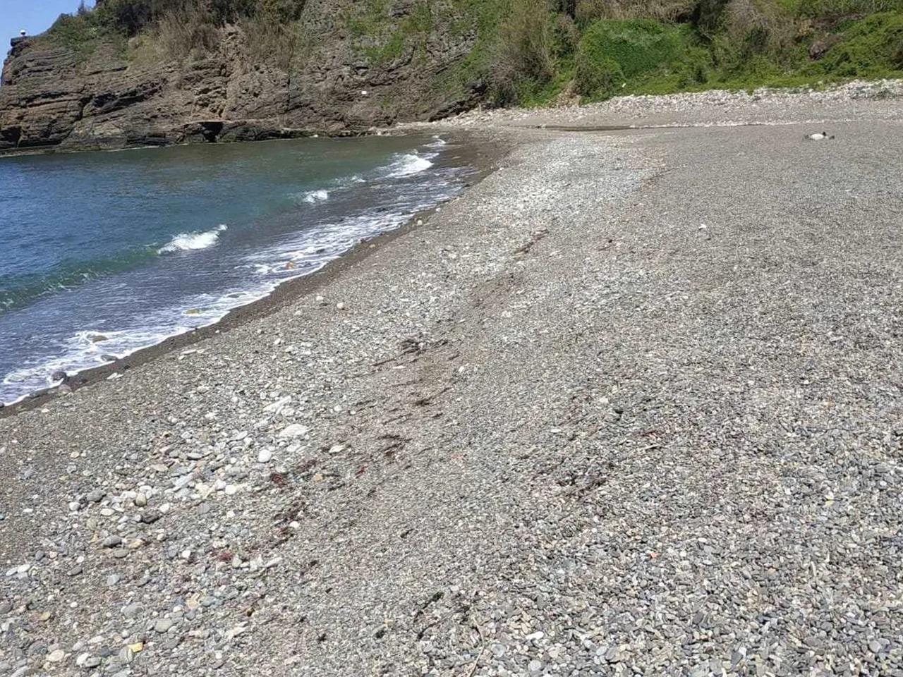 Çavuşağzı Plajı - 4