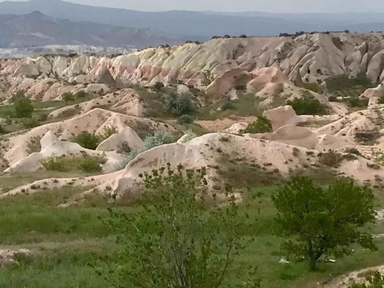 Çavuşin, - 2