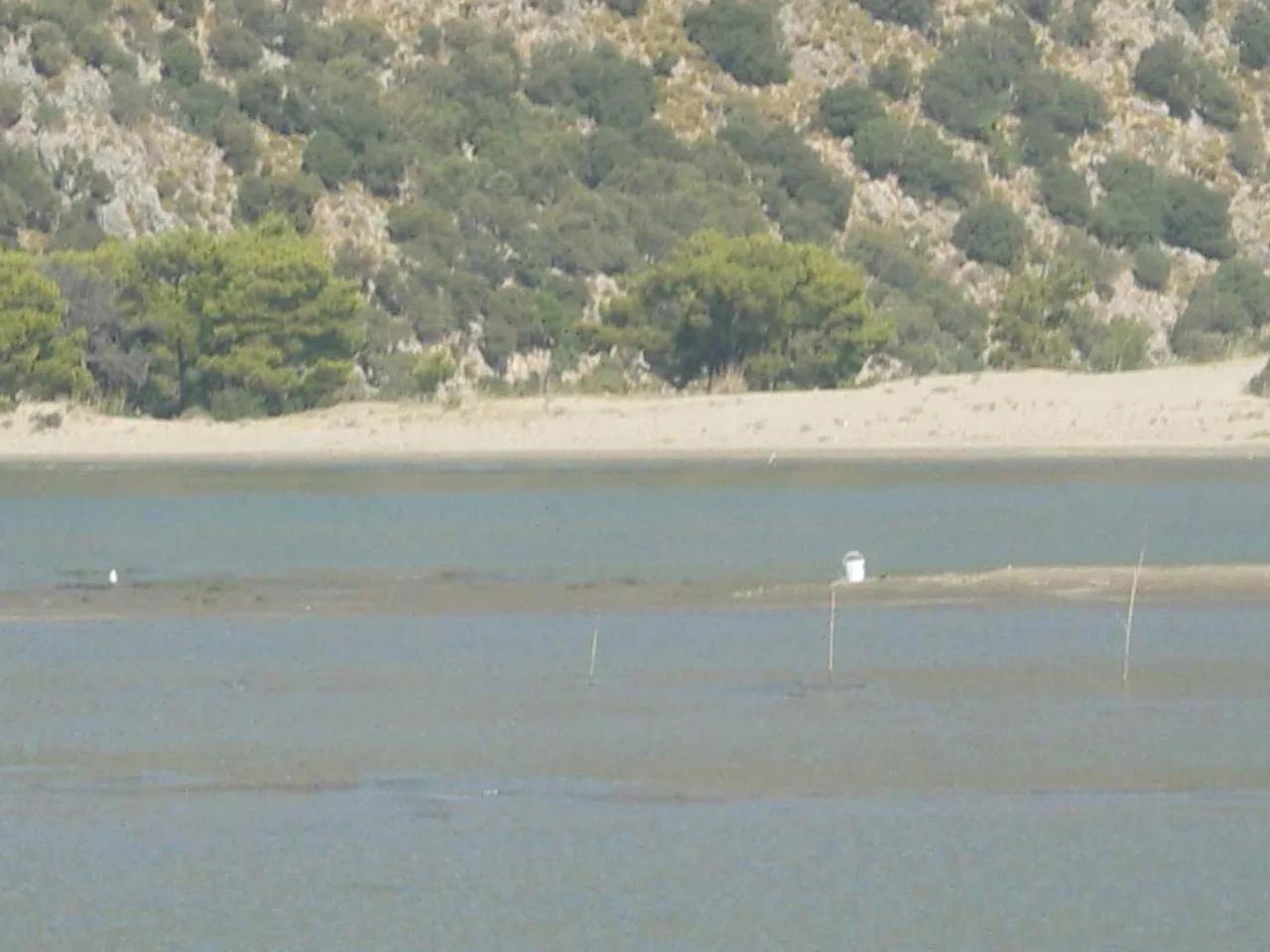 Çayağzı Plajı - 2