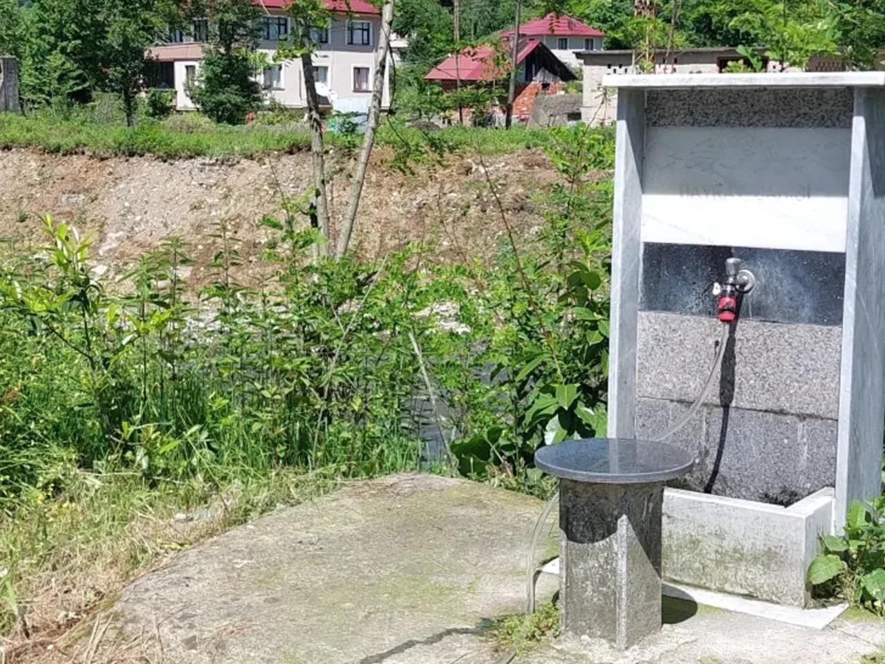 Çayeli,6 Çayeli Güneysu Yolu - 1