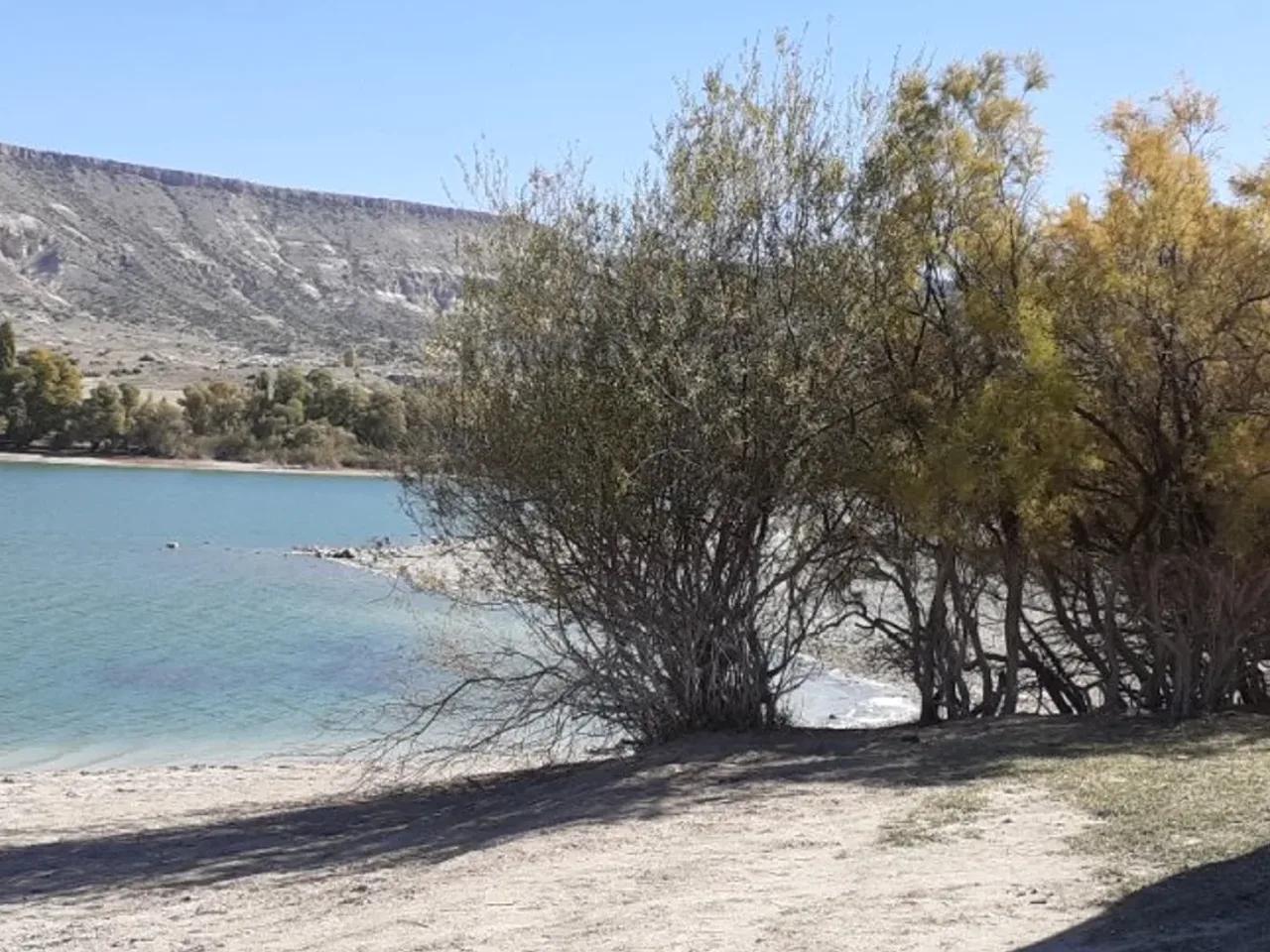 Cemil,Damsa Barajı - 2