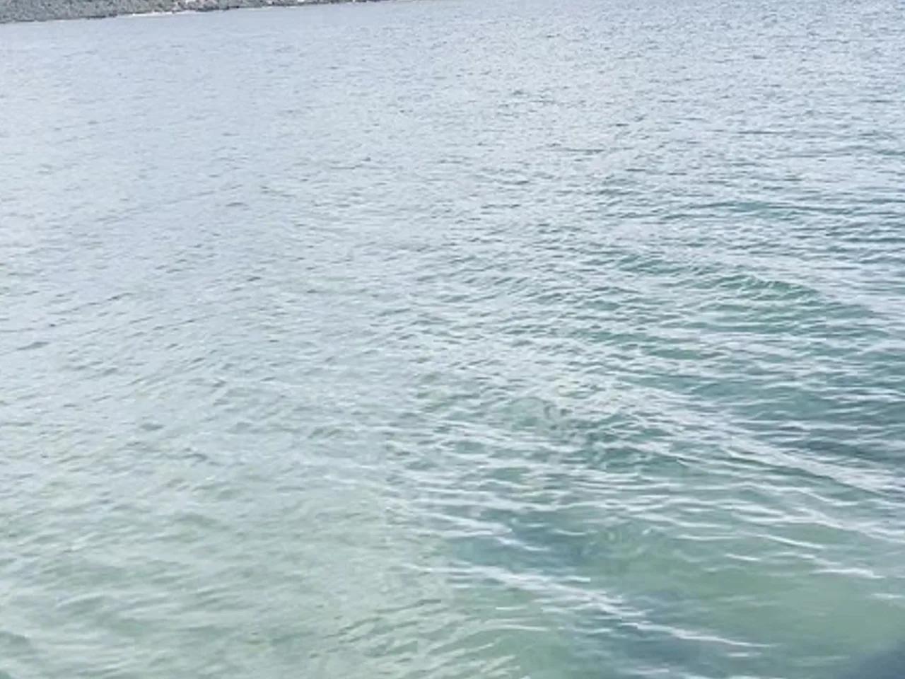 Cennet Mandalya Plajı - 2