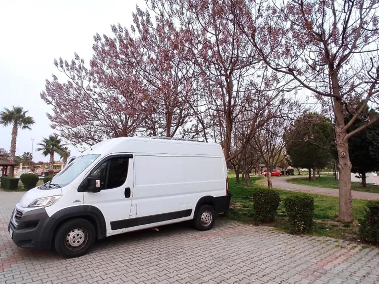 Ceyhan - 3