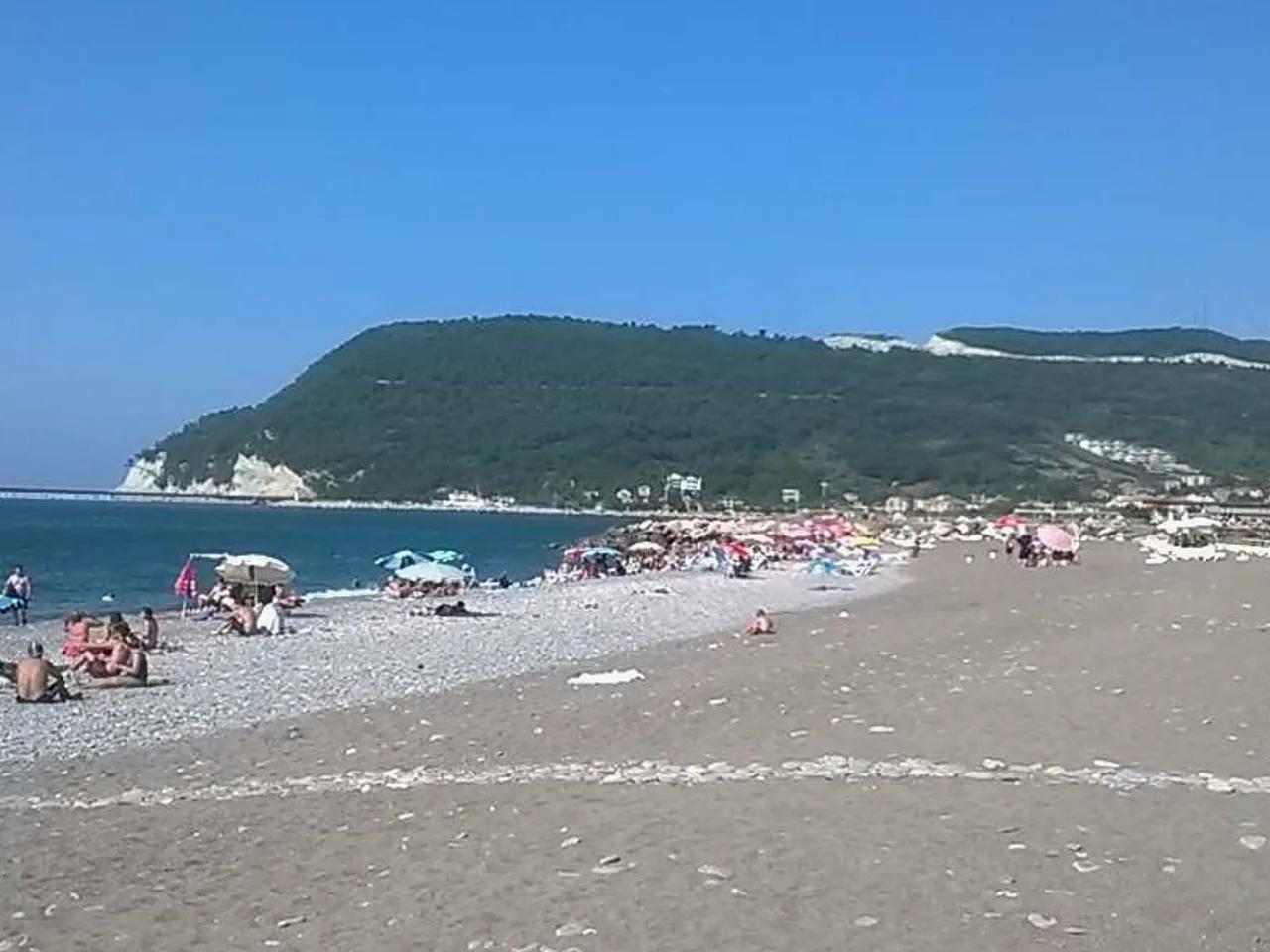 Cide Nasuh Plajı