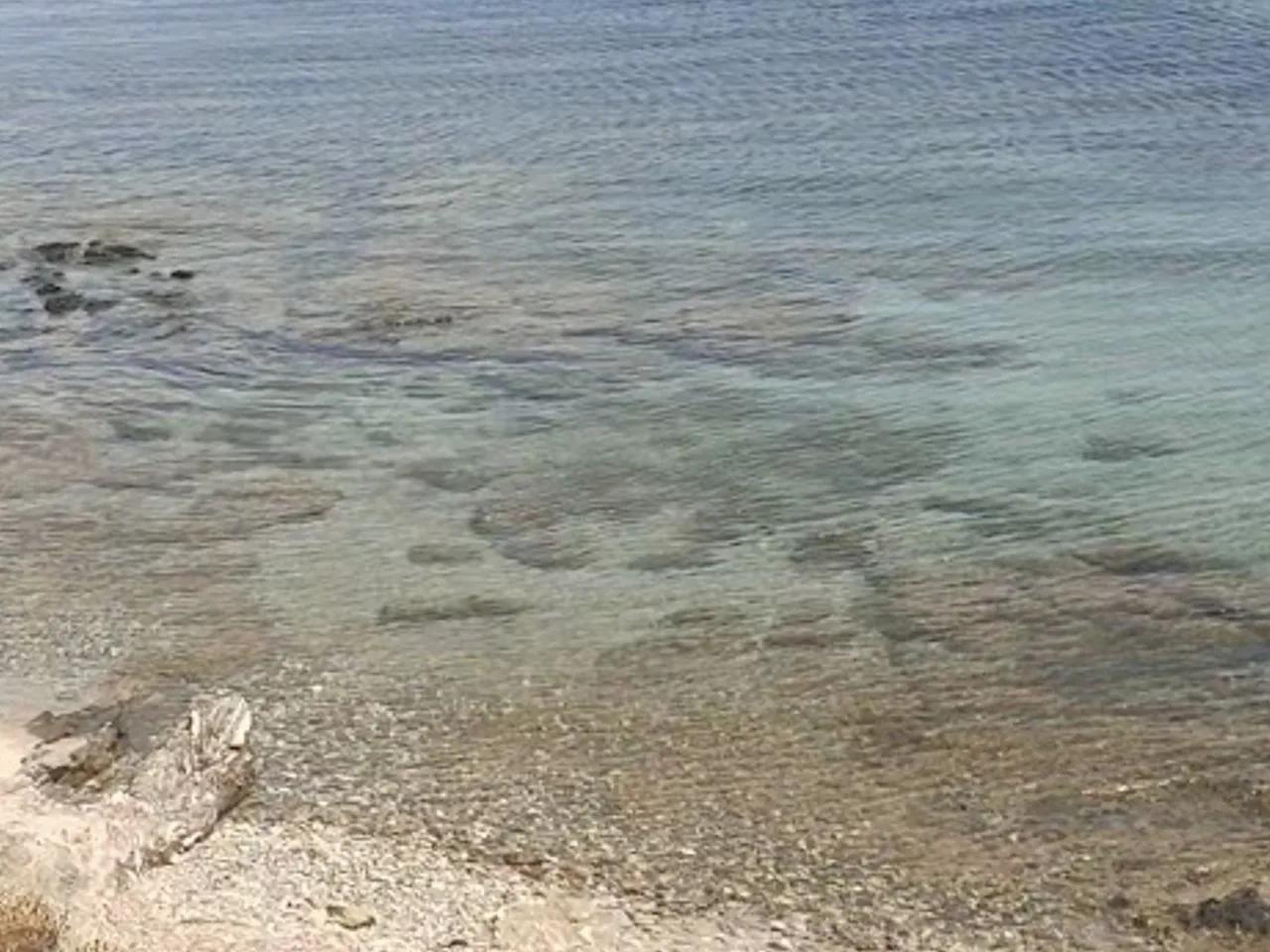 Çiftçi Koyu - 1