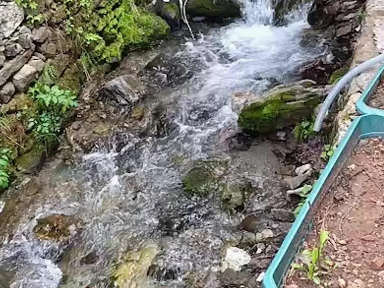 Çiftmazı Tabiat Parkı - 2