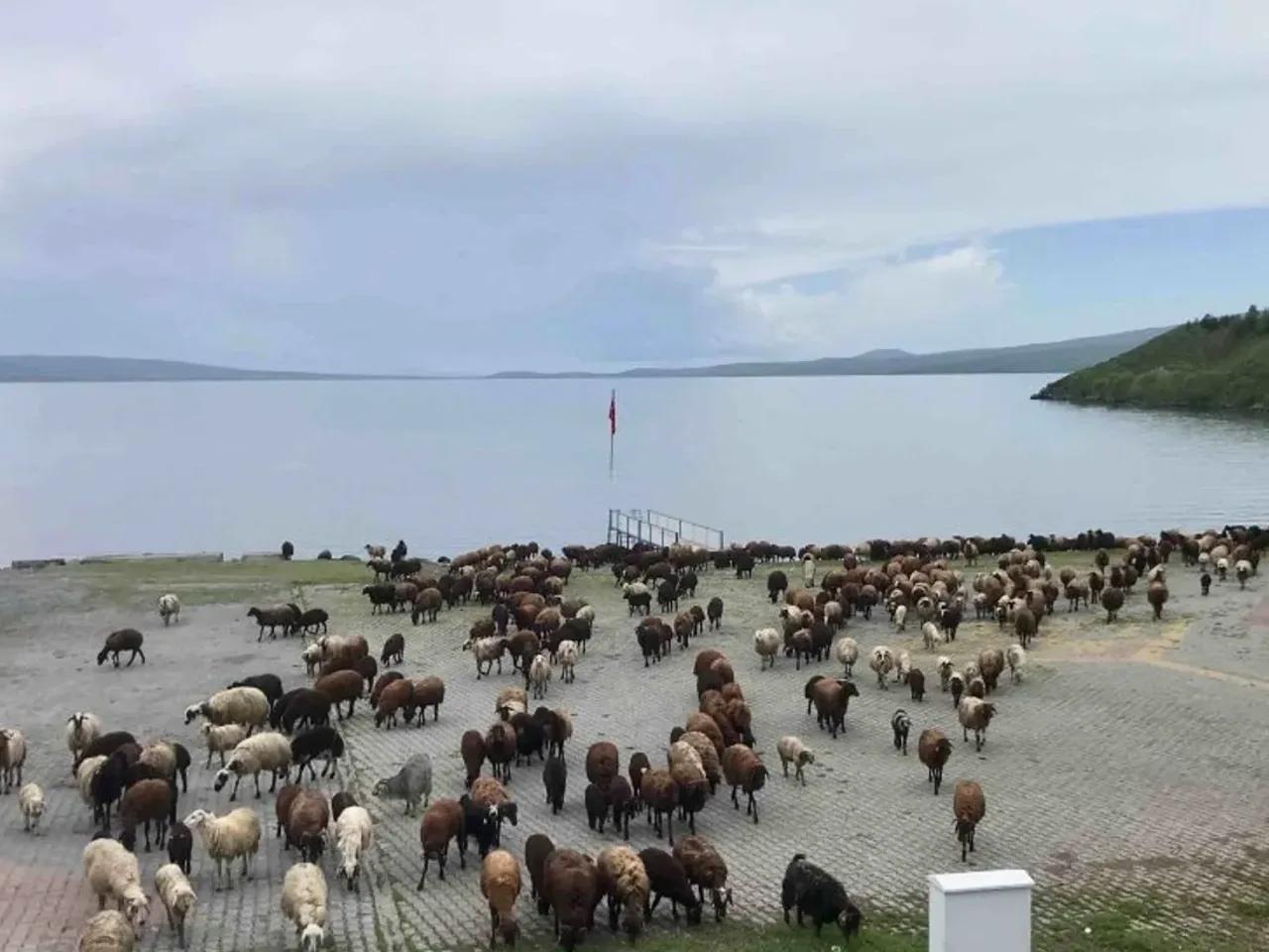 Çıldır, - 3