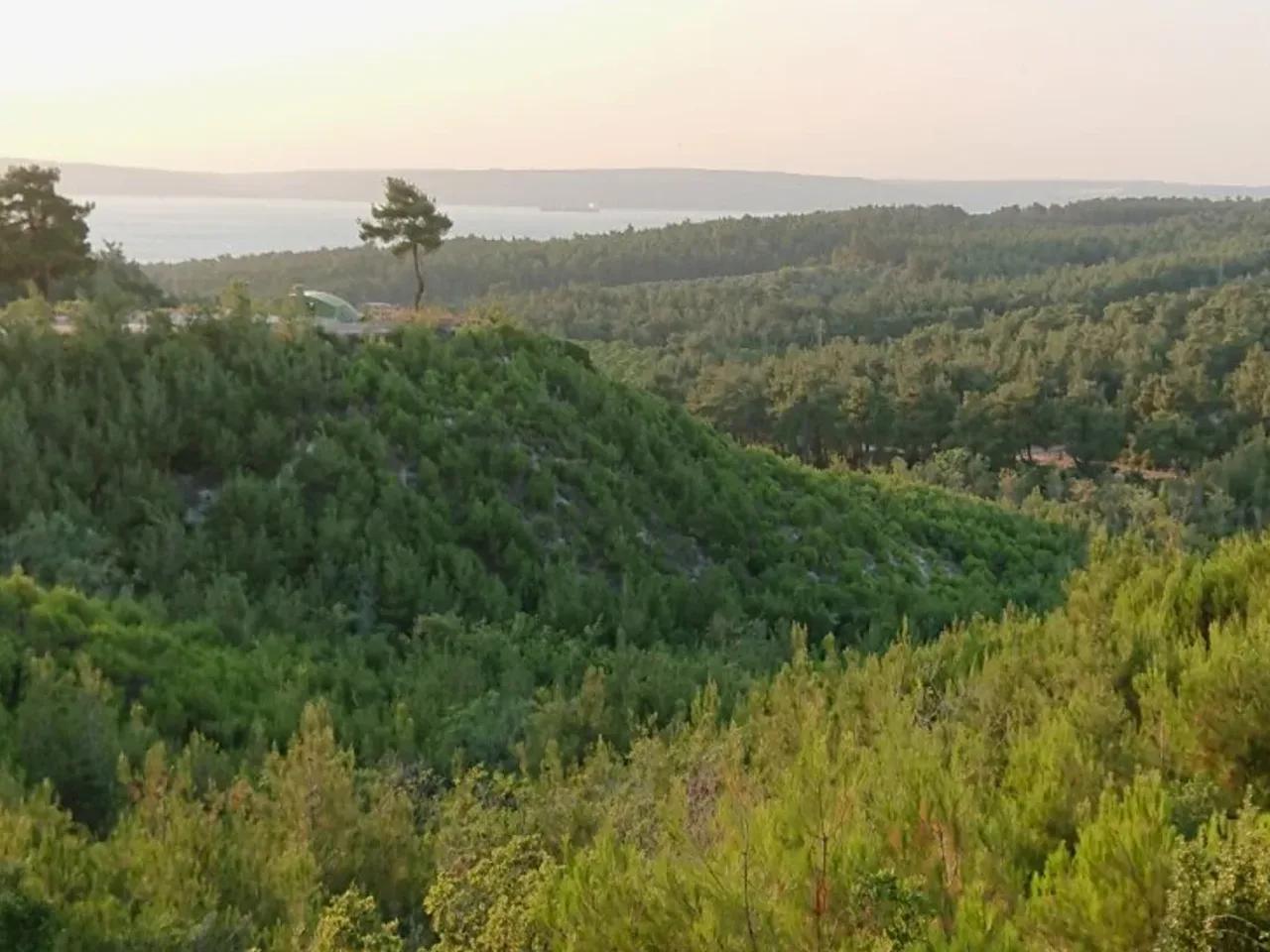 Çınarlı, - 3