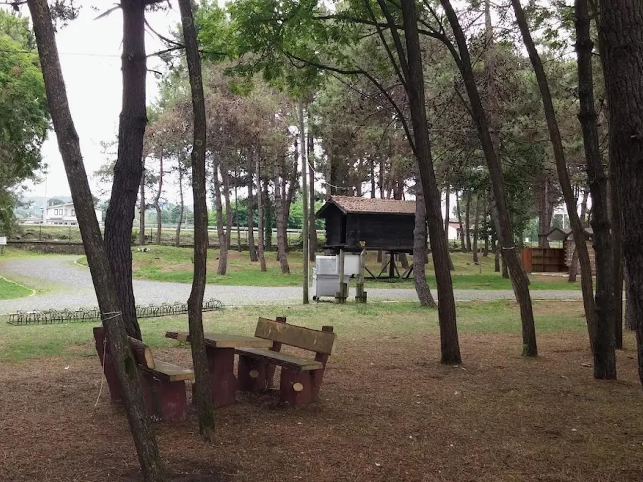 Çınarsuyu Tabiat Parkı