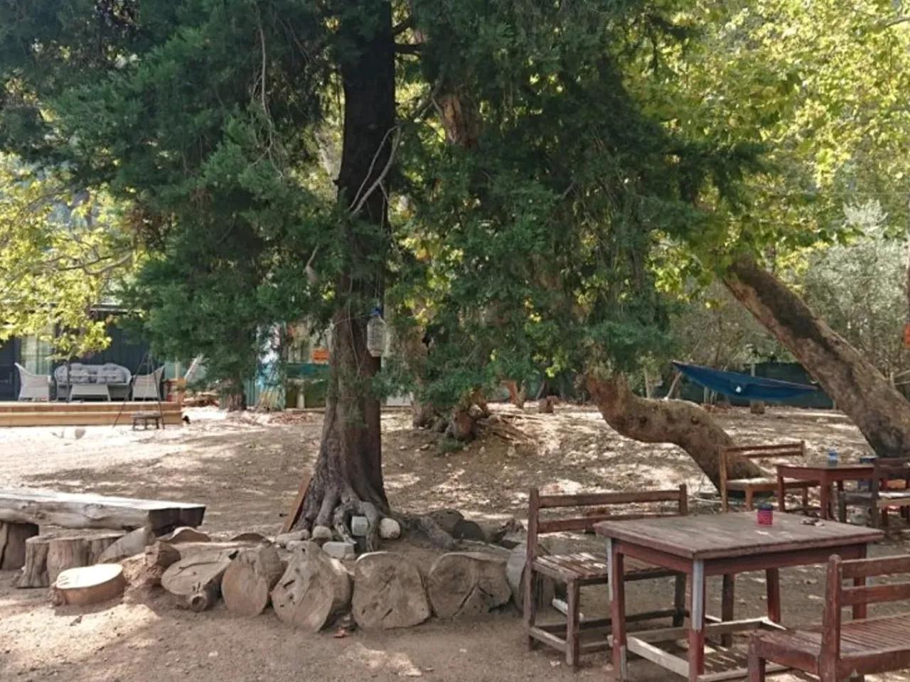 Çıralı,16 Çıralı Yolu - 2