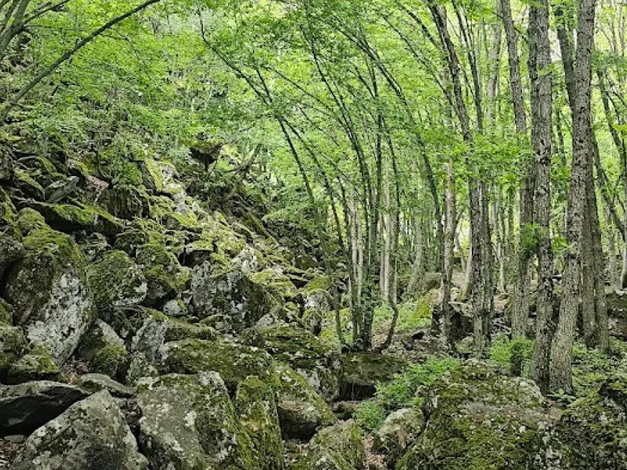 Çubuk Karagöl Tabiat Parkı