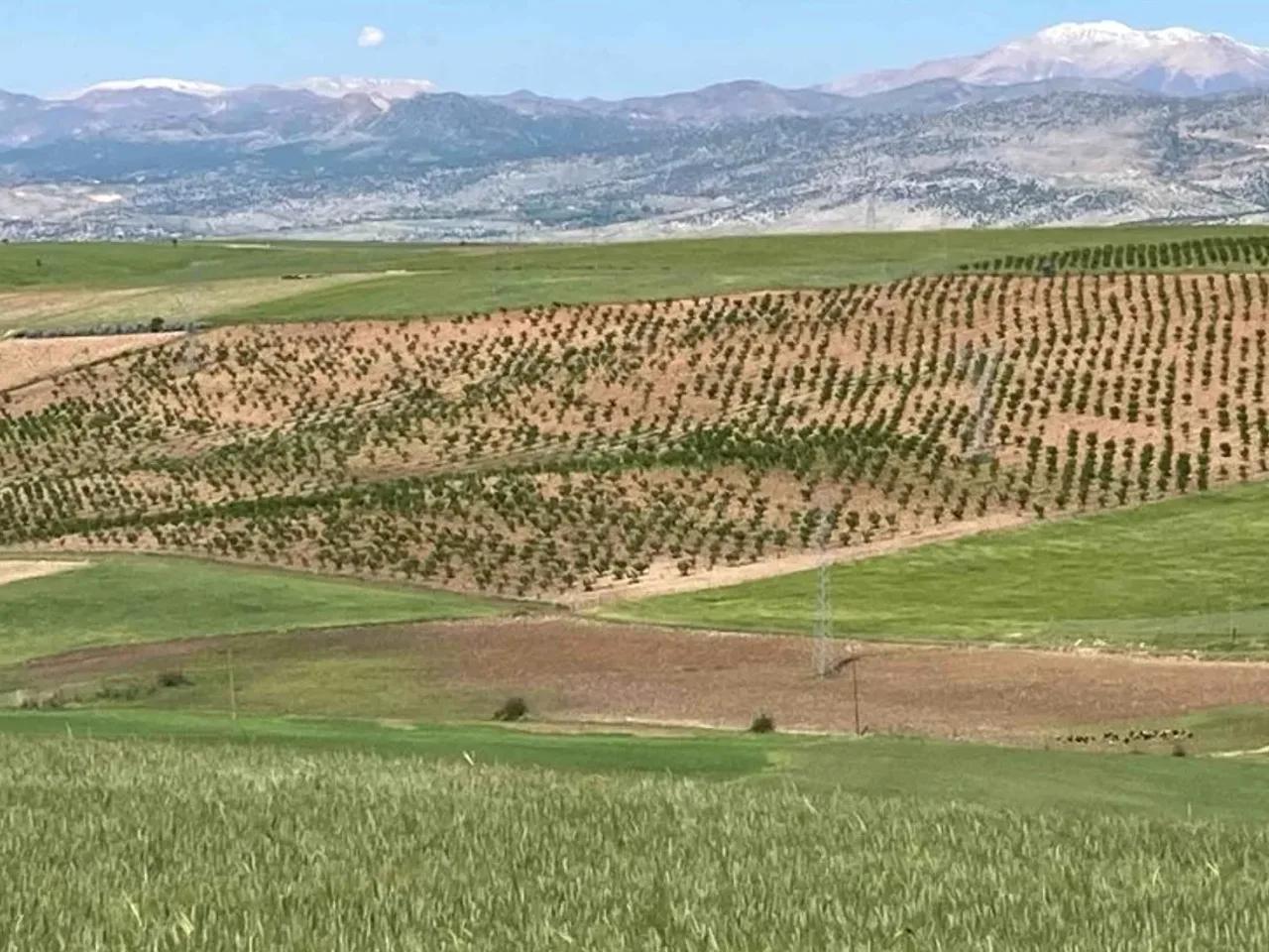 Çukurtaş , Kahta Sincik Yolu - 3