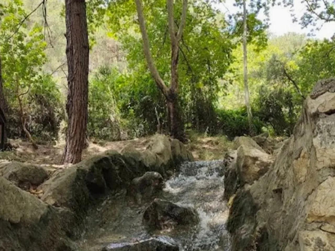 Dağılcak Tabiat Parkı