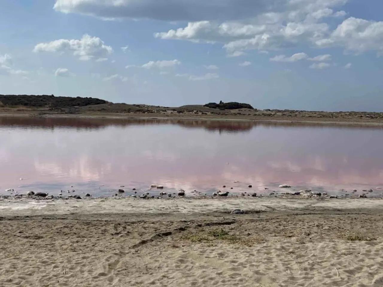 Dalyan, Ezine - 1