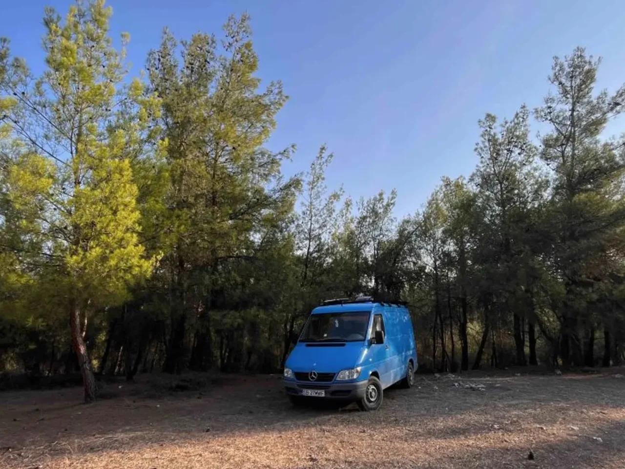 Dandalas Mevkii, - 1