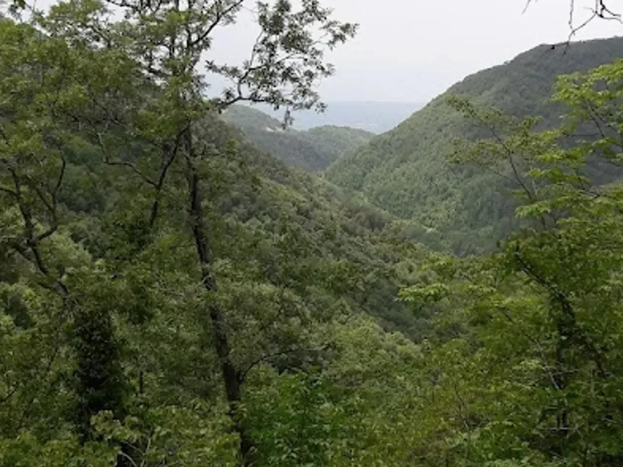 Dazı Yaylası - 1