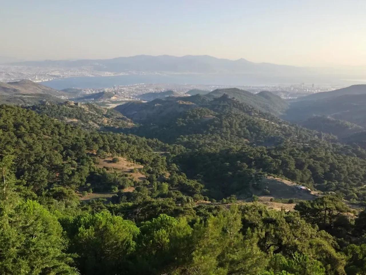 Dede Menengici Tabiat Anıtı - 2