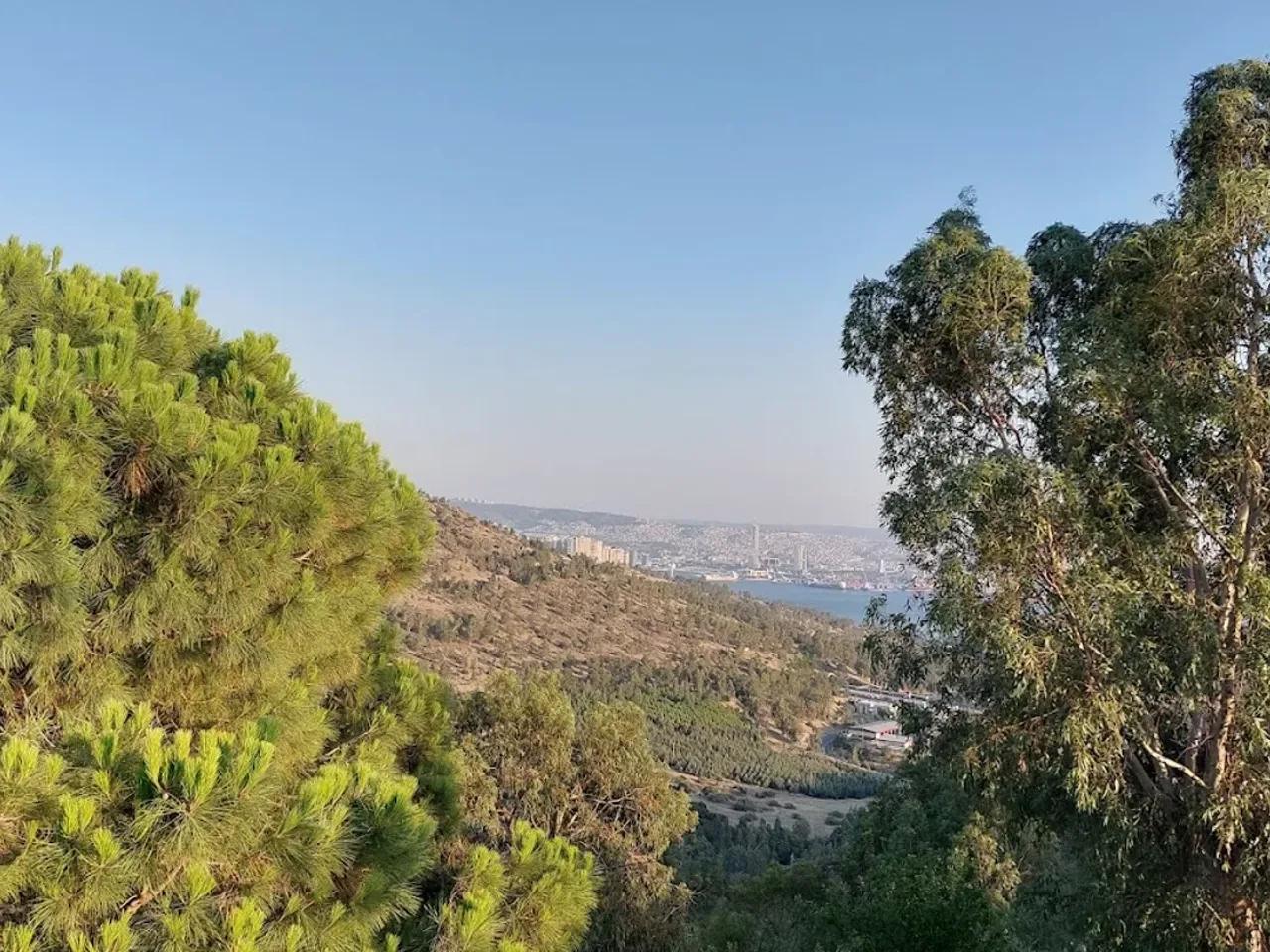 Dede Menengici Tabiat Anıtı - 3