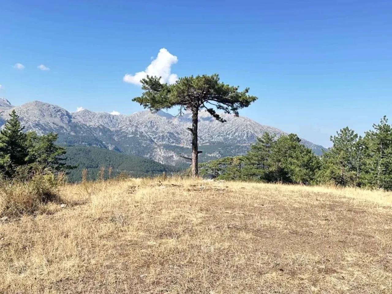 Dedegöl Dağı Kamp Alanı - 2