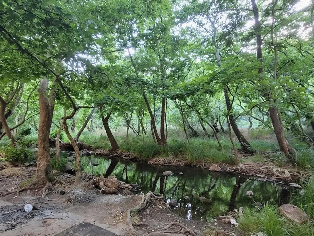 Değirmenboğazı Tabiat Parkı