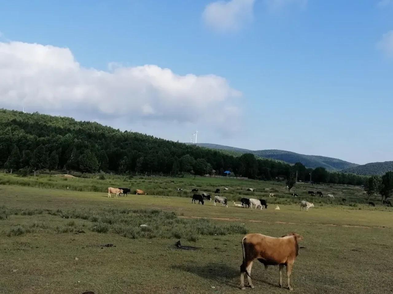 Delmece Yaylası Tabiat Parkı