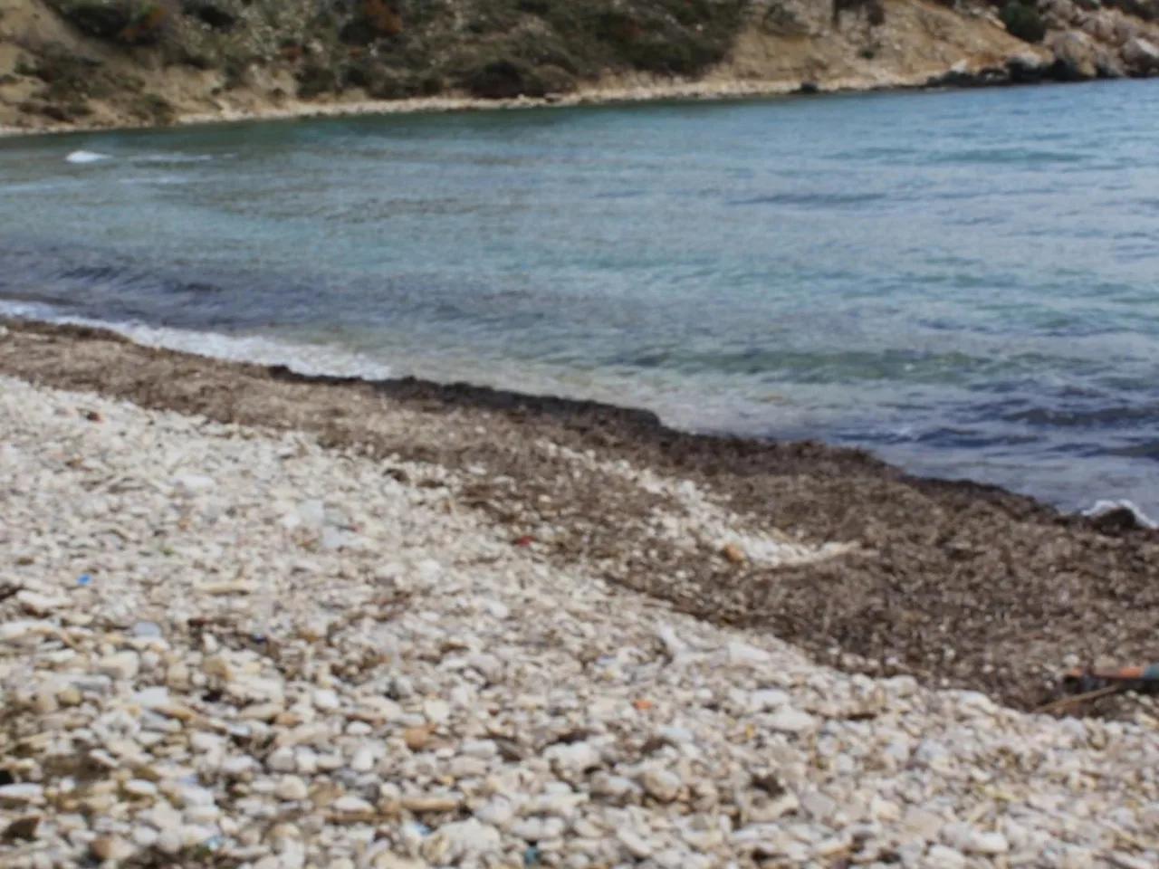 Demircili Adası Plajı