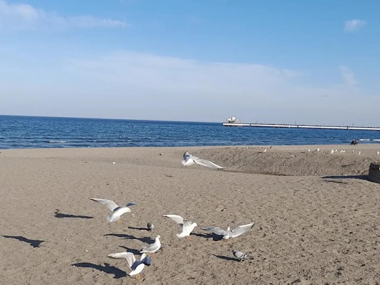 Denizevleri Public Beach - 4