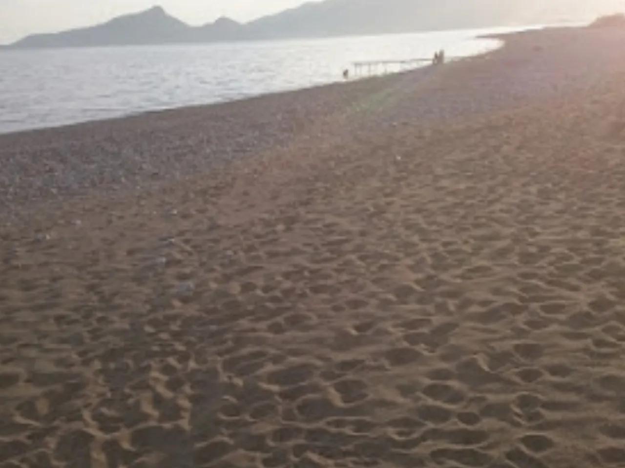 Denizin Tatil Plajı - 1
