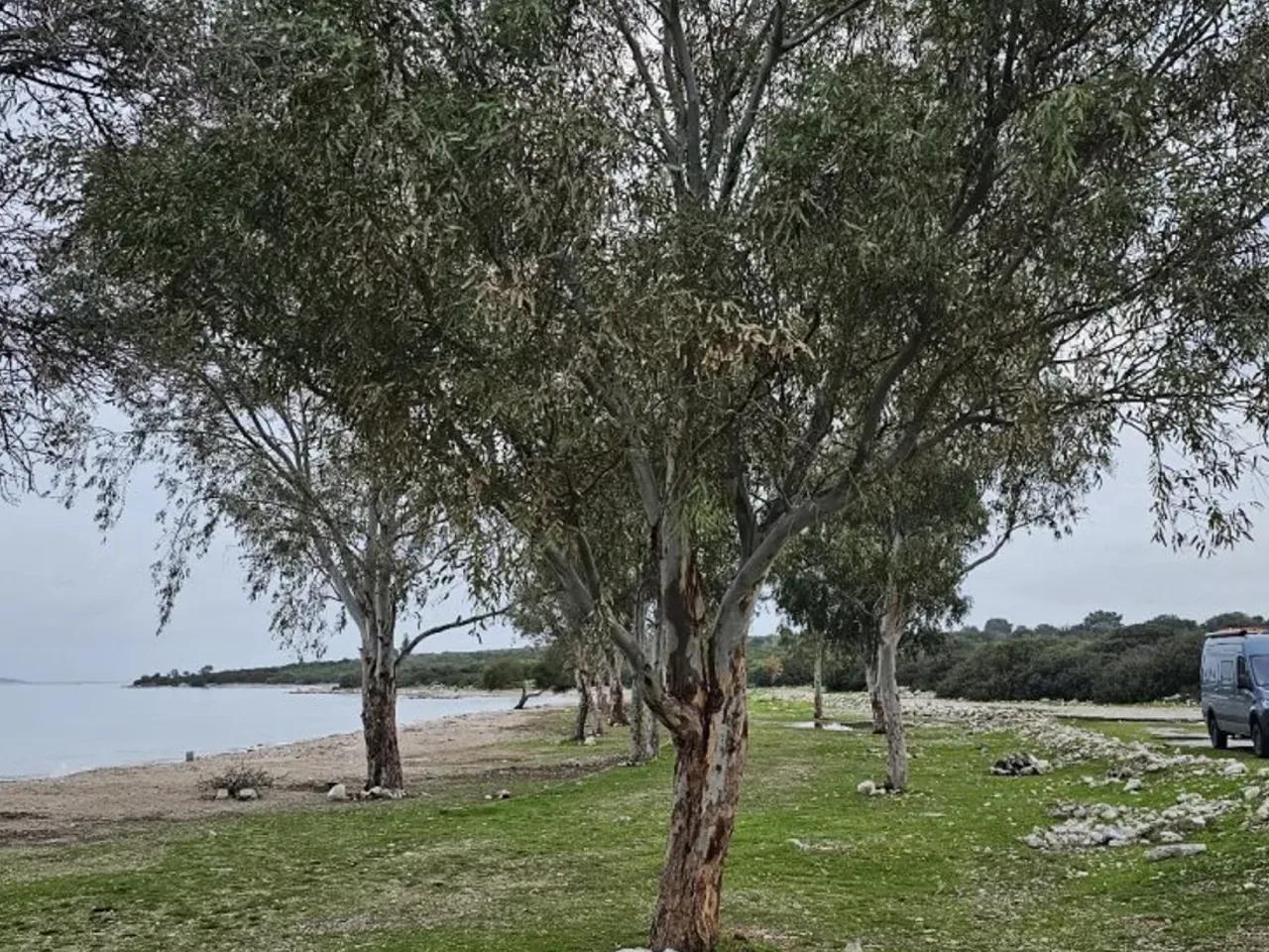 Denizköy, - 2