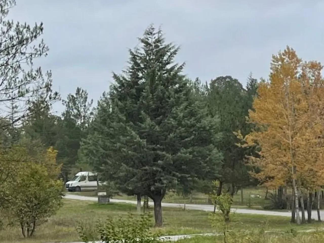 Derbent,Derbent Köyü Yolu - 1