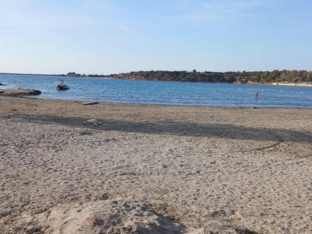 Didim,2 Kıray Caddesi - 3