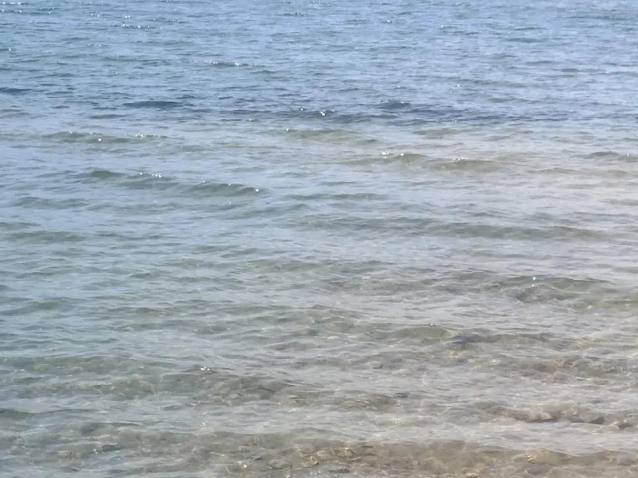 Didim,Fevzipaşa - 3