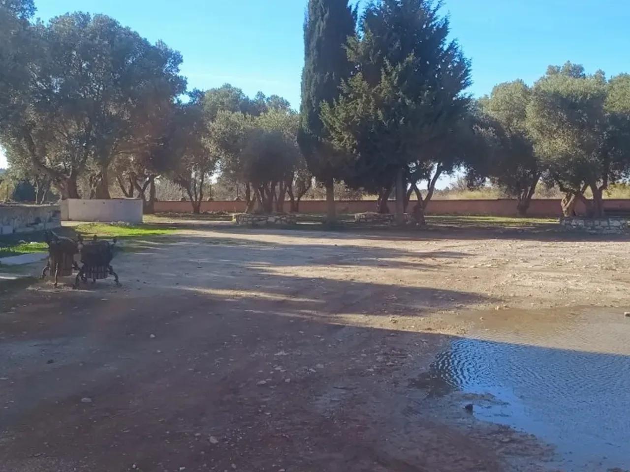 Didyma Yolu, Didim - 1