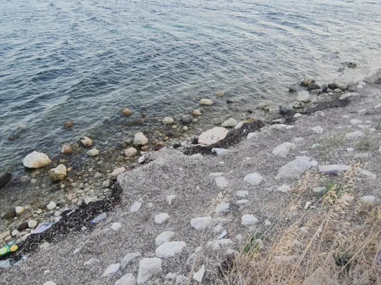 Dikili,Bademli Pissa Sokak - 1