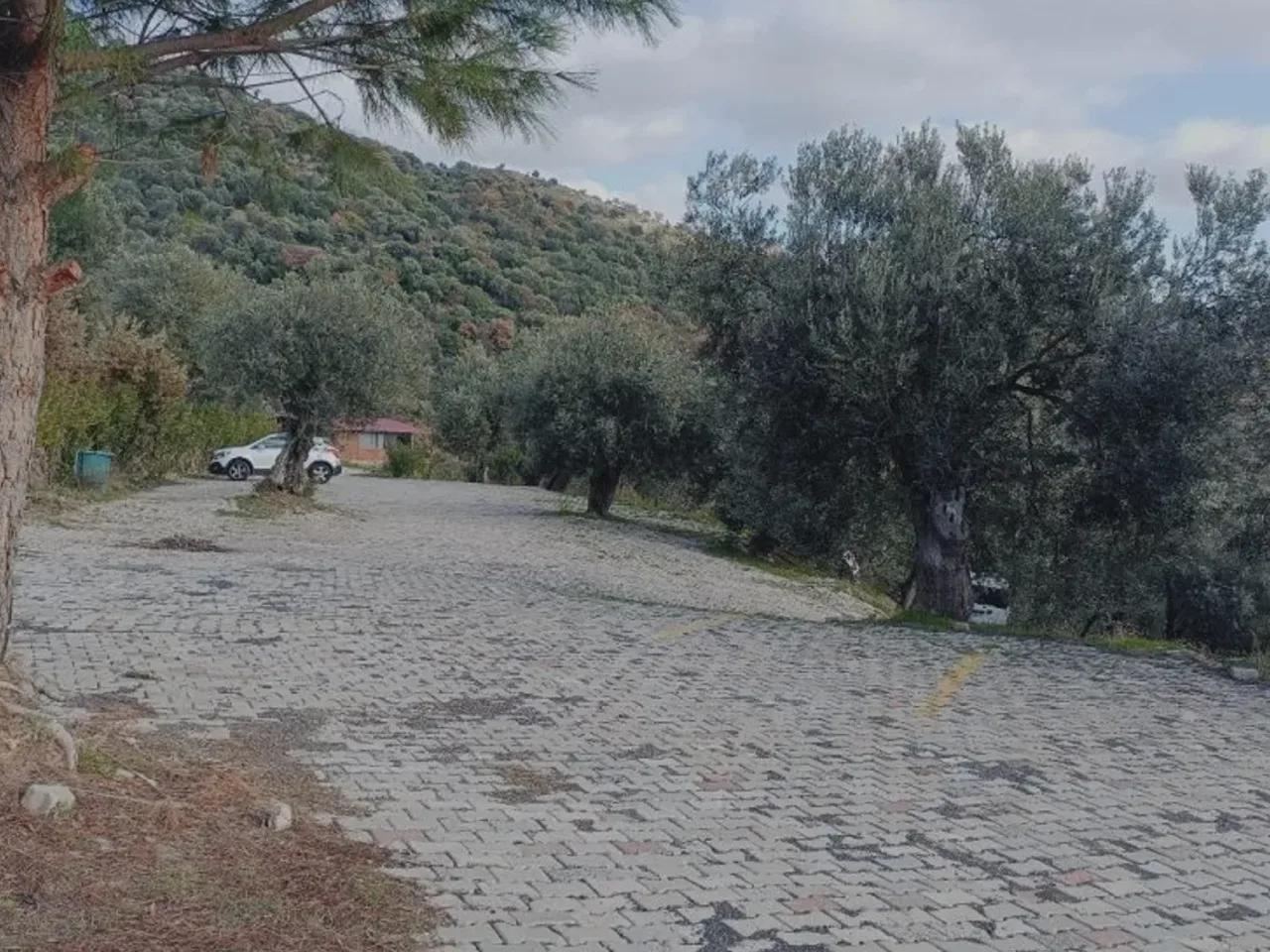 Dikili - 2