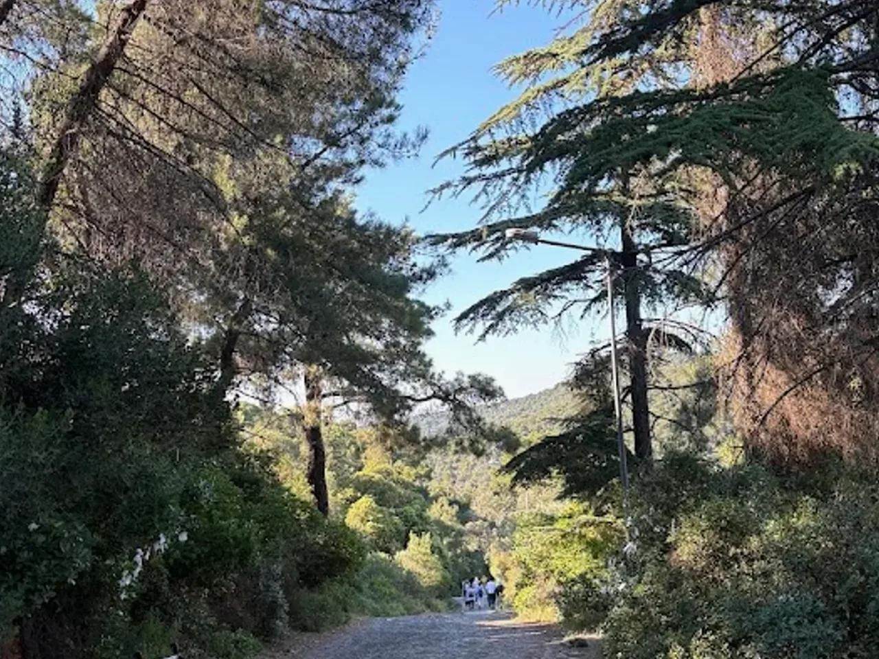 Dilburnu Tabiat Parkı - 2