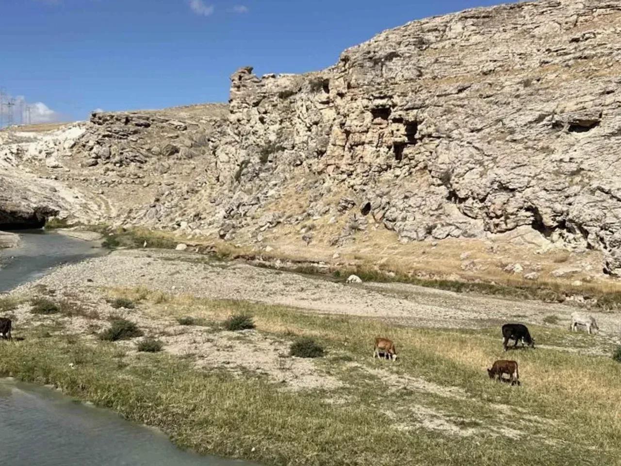 Diyadin Kanyonu Kamp Alanı - 2