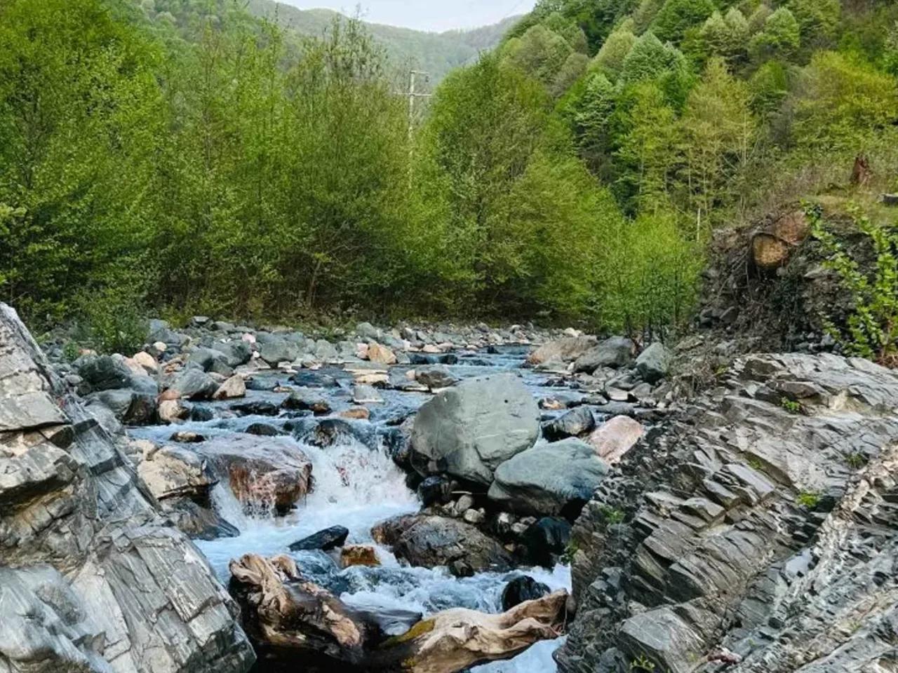 Doğançay, - 2