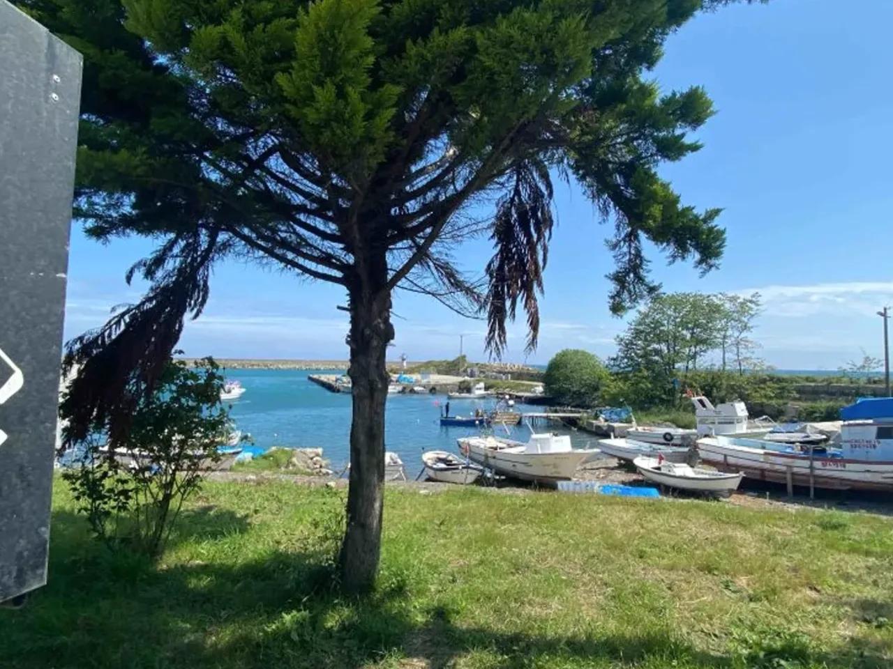 Doğanyurt,11 Liman Sokak - 1