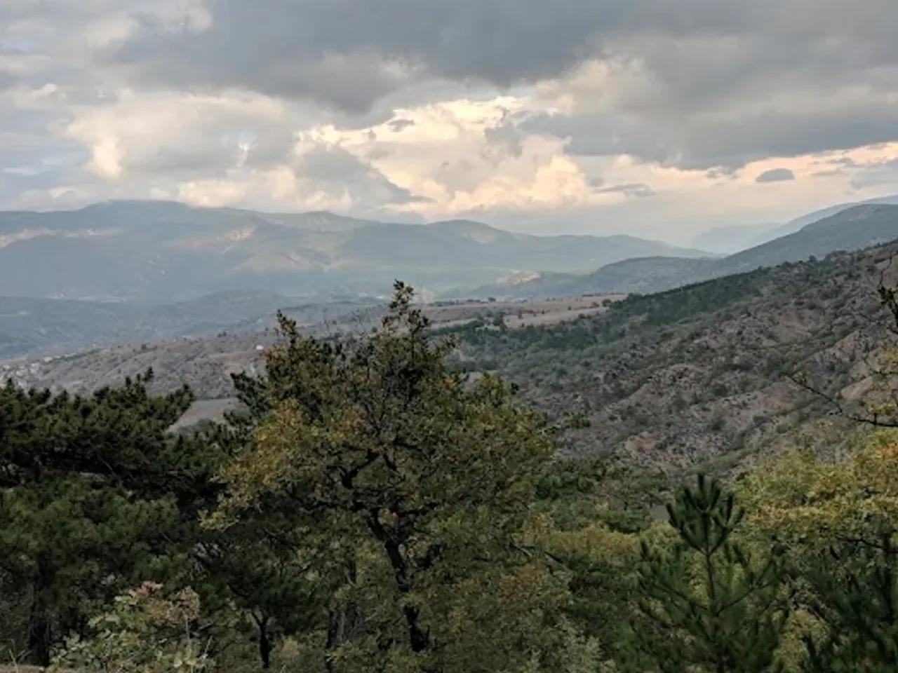 Dokuz Kardeşler Çamı Tabiat Anıtı