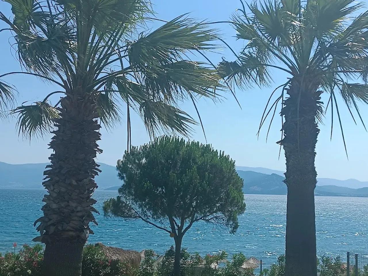 Duja Didim - 2