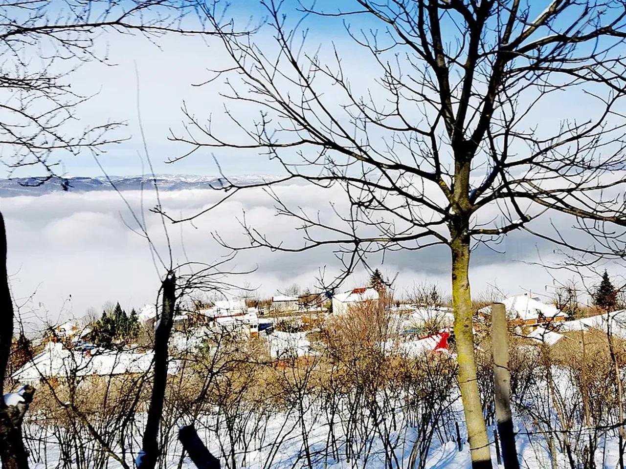 Düzce Gölyaka Efteni Gölü Sulak Alanı - 2