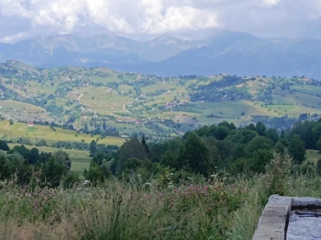 Düzenli - 1