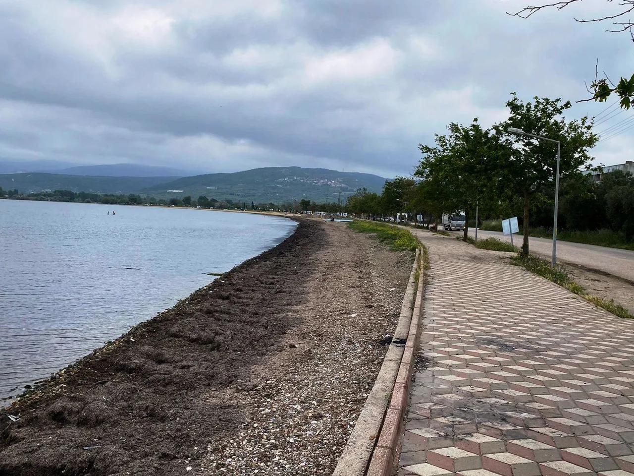 Edincik Altı Halk Plajı - 4